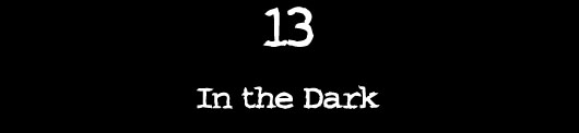 13 — In the Dark